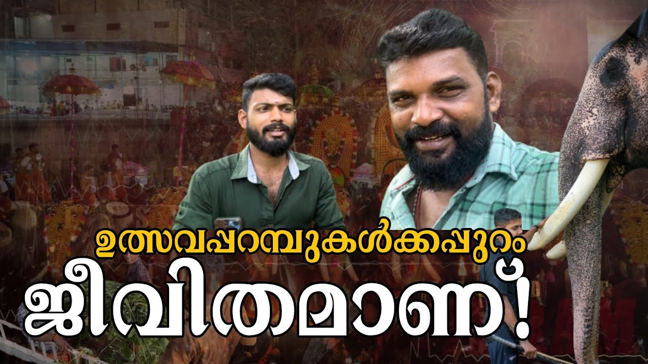ആനപ്പണിയുടെ പിന്നാമ്പുറ കാഴ്ചകൾ! കാണാകാഴ്ചകൾ! MK Channel | Puthuppally Elephants & Mahouts