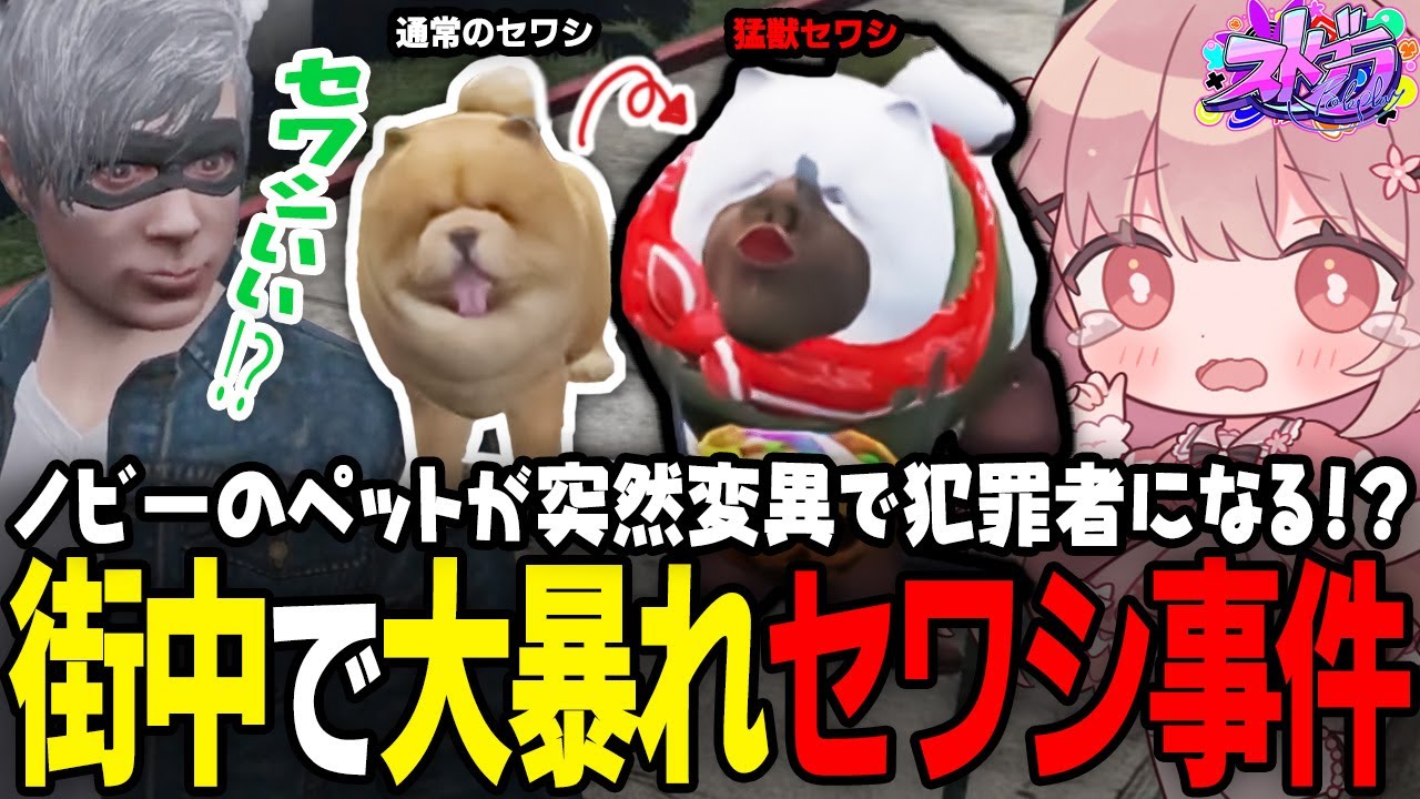 【ストグラ】公務員のPサツ、犬型犯罪犬セワシラング【 #小花衣ももみ / 切り抜き 】