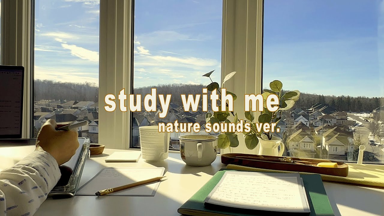 3 Hour Study With Me / nature sounds ver. / no music/ no break/스터디윗미/ 평온한 숲속에서 물소리 새소리 /bird songs