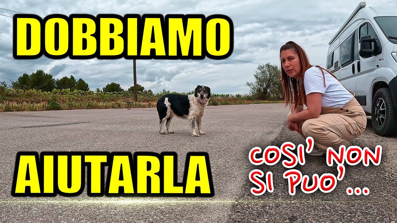 RICHIESTA di AIUTO 😵 IN MEZZO alla STRADA! 💪🏻