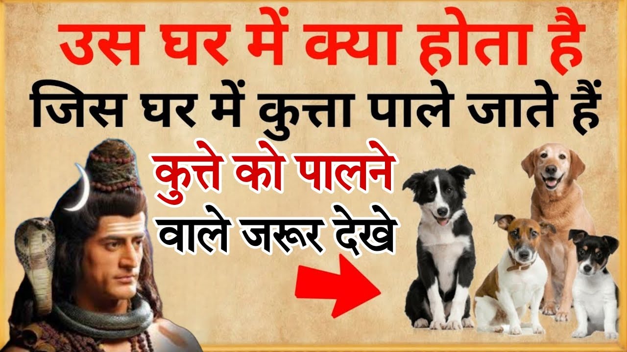 कुत्ता को घर में पालने से ये होता है ||चौंकाने वाली सच्चाई #successtips