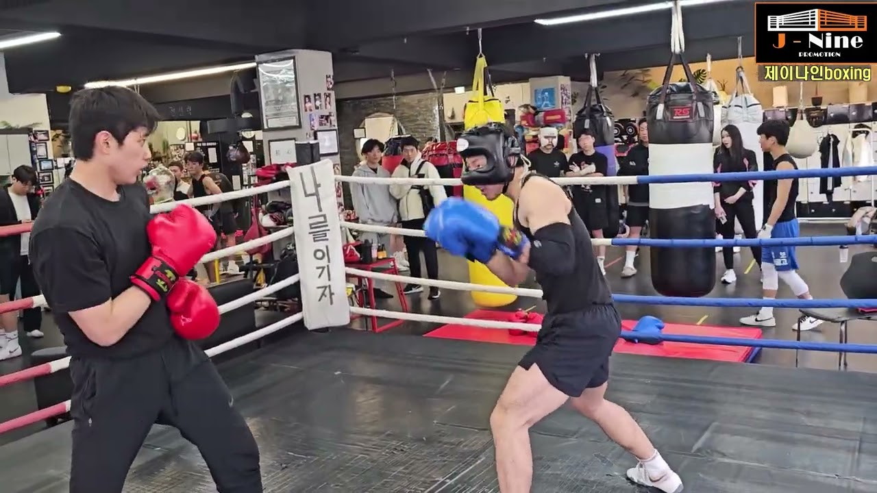 스파링! 이 정도는 되야지 볼만하지 수준되네! #boxing #복싱 #권투 #스파링 #복싱다이어트 #챔피언 #유산소운동 #맨몸운동 #제이나인 #장정구 #부산복싱