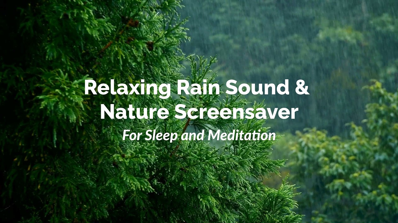 Forest Rain ambient relaxing screen