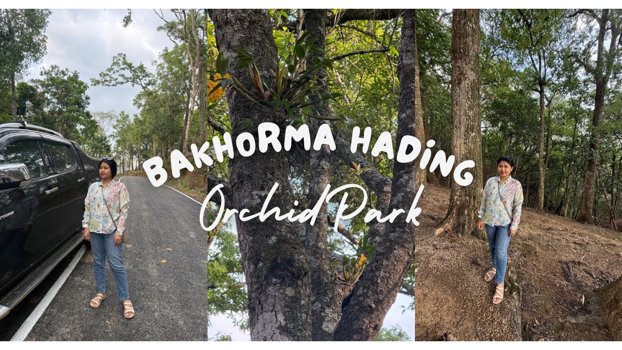Orchid Park | Bakhorma Hading | Dima Hasao Assam | Northeast India 🇮🇳