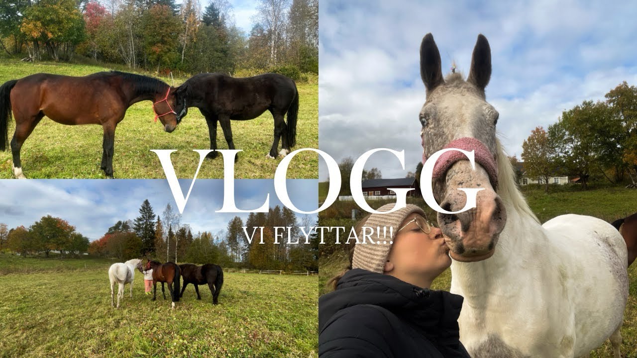 Vi flyttar!!! | VLOGG 
