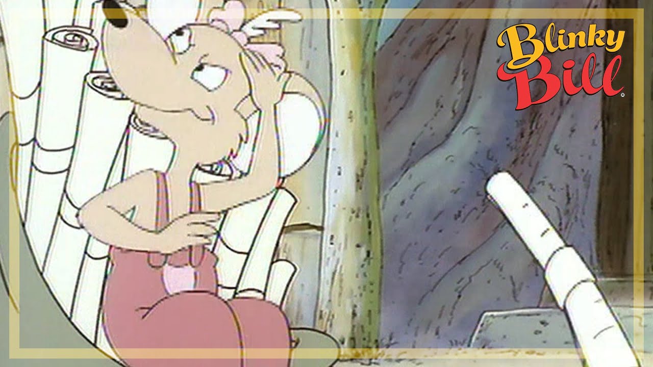 BLINKY LEADS THE GANG - Episode 19 - The Adventures of Blinky Bill