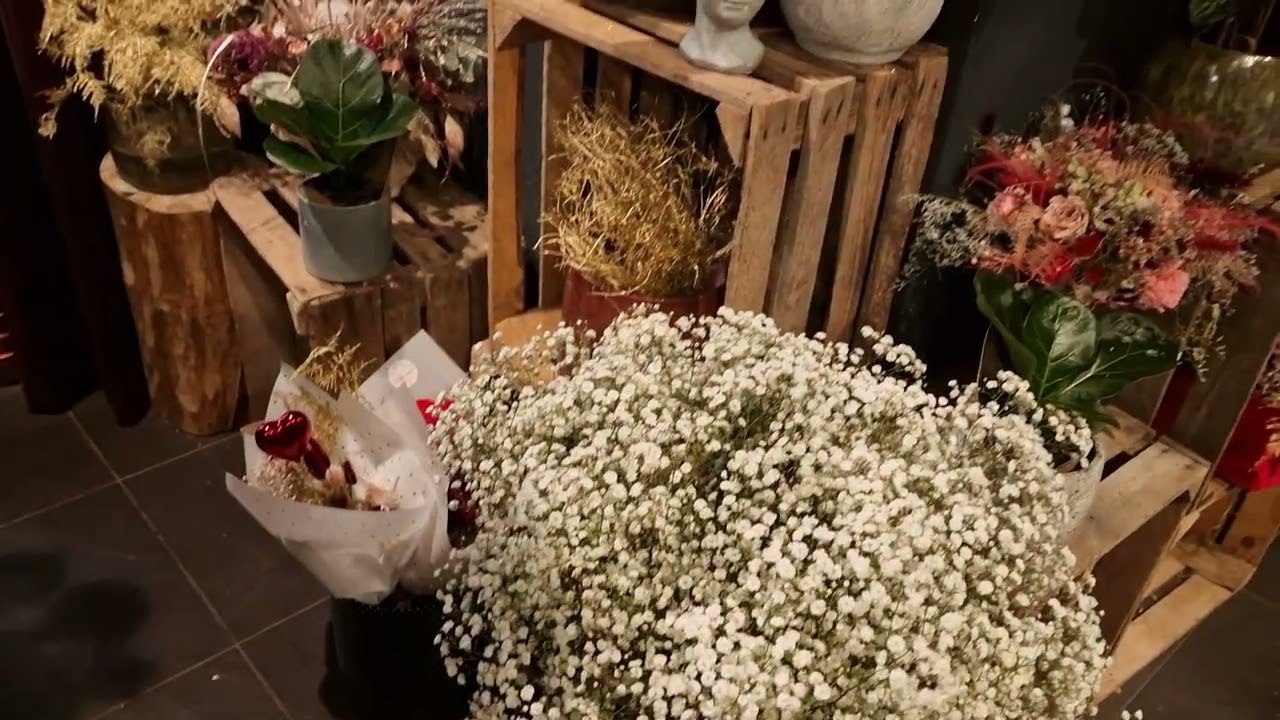 Пойдём посмотрим #Прага2026 #весна #цветы #настроение #flowers #praha2026 #prague2026 #czech #travel