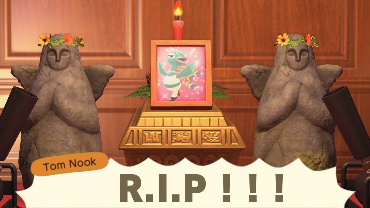 What Happens If You Accidentally KILL Pavé During Festivale in ACNH 3.0? (Pavé insulted me too)