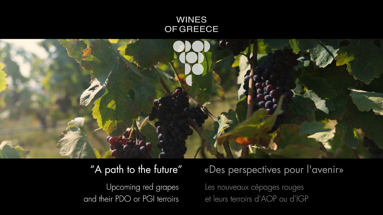 10 “A path to the future” – Upcoming red grapes and their PDO or PGI terroirs