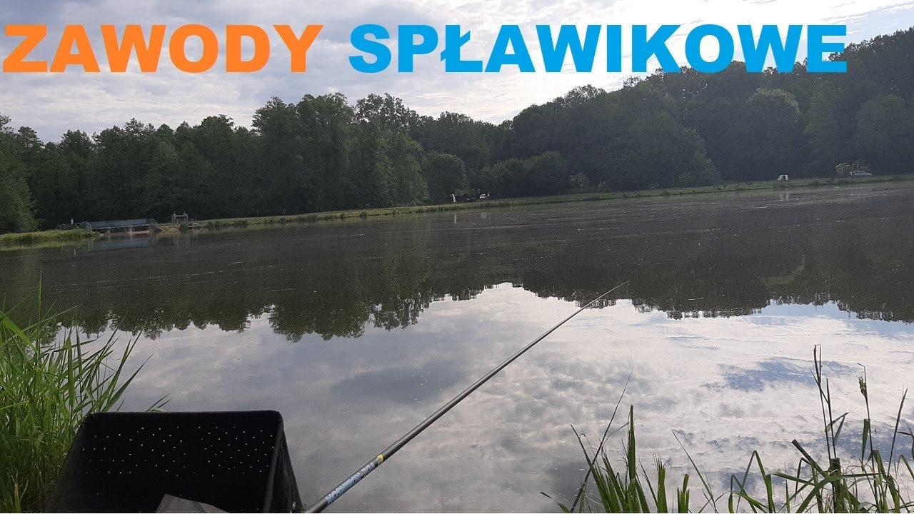 ZAWODY SPŁAWIKOWE 2024r  Płocie Płocie i bonusowa RYBA