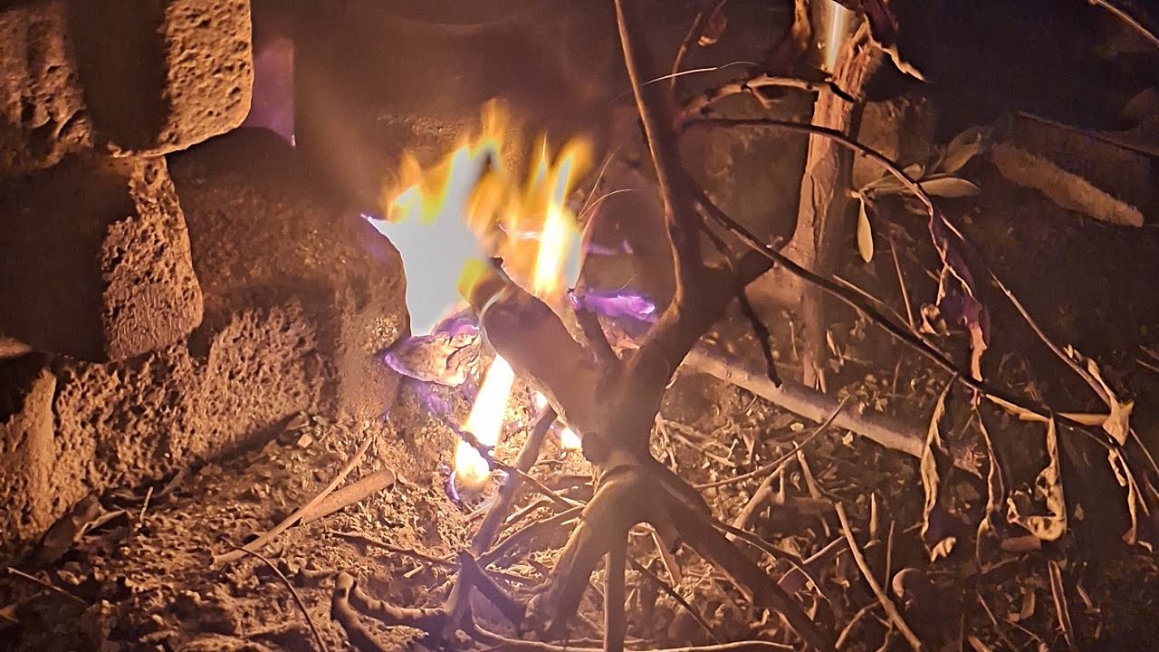 666 | Odun Ateşinde Mantar Sote | Yola Çıkıp Çıkmama Kararsızlığı | Ömeranlı/Konya