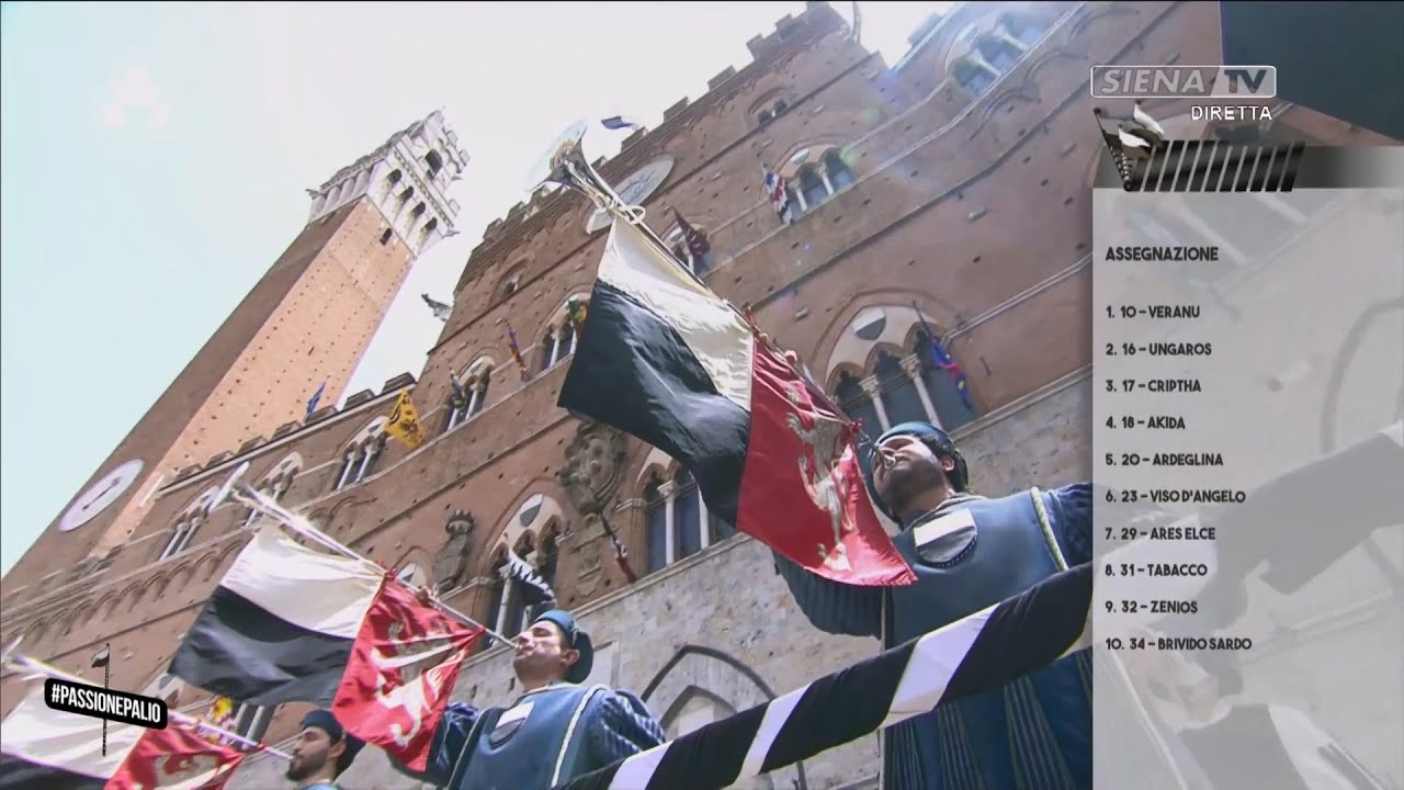 ASSEGNAZIONE DEI CAVALLI ALLE CONTRADE - PALIO 2 LUGLIO 2024