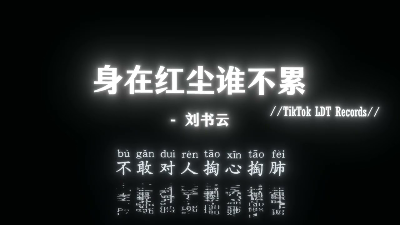 刘书云 - 身在红尘谁不累 (男版) (抖音DJ版)『身在红尘谁不累，都曾尝过苦滋味，满腹酸楚藏心扉，还要假装无所谓。』热神抖音热门歌曲｜TikTok BGM