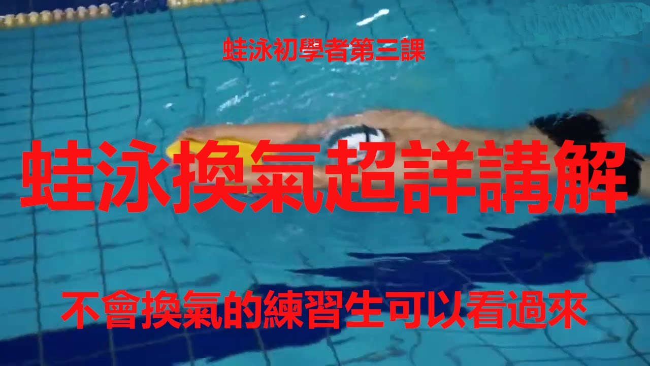 蛙泳初学者第三课换气讲解，不会换气的练习生可以看过来！Breaststroke breathing explanation