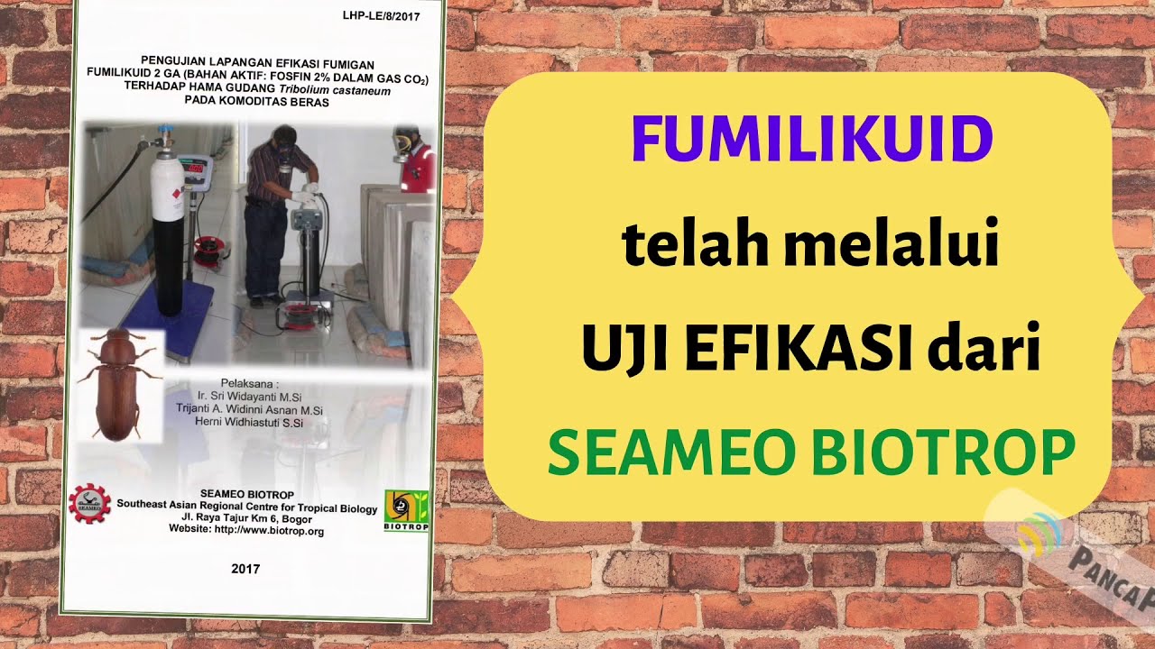 Hasil Uji Efikasi Fumilikuid terhadap hama di gudang beras (kutu beras) Substitles English Available