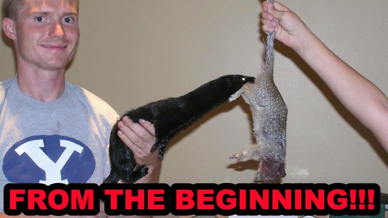 How Minkenry Began. What an ADVENTURE!!!