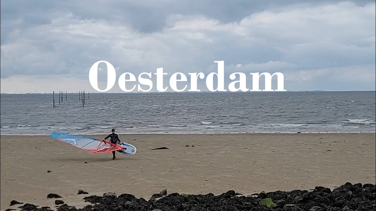 10 + 2 tips voor dat je surft op Oesterdam