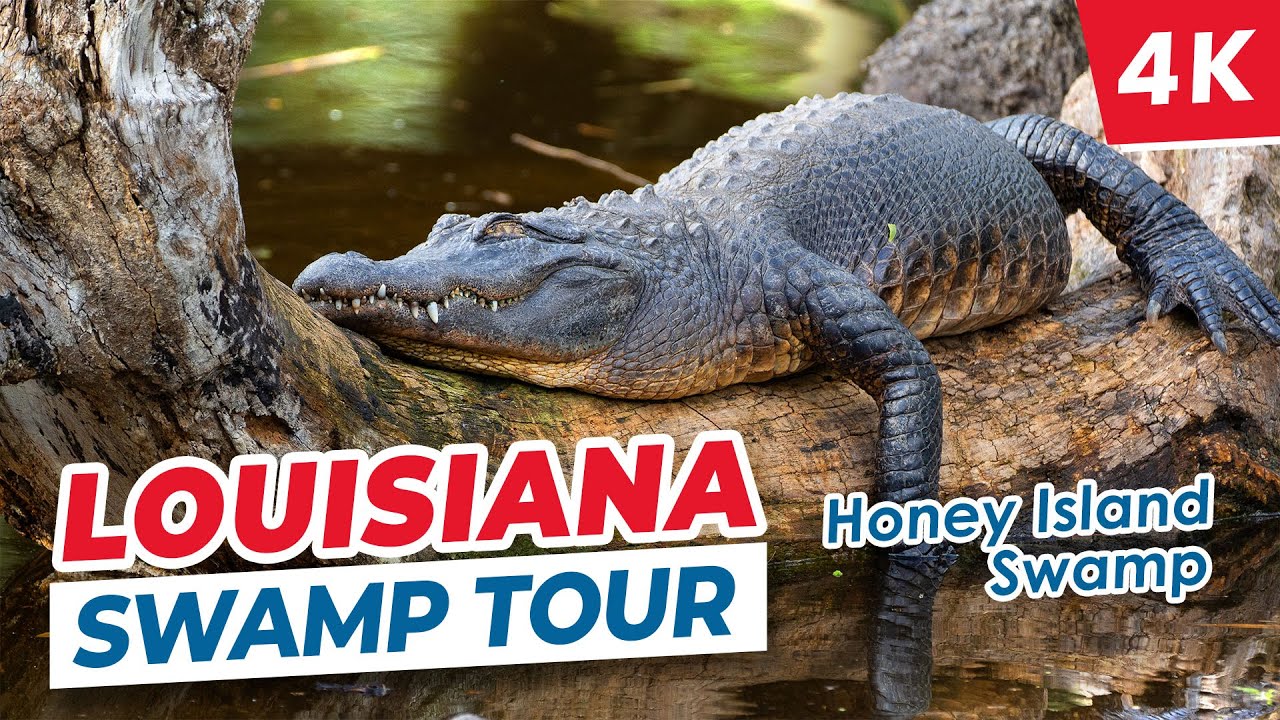[4K] 🇺🇸 Louisiana Swamp Tour Adventure. Discover the Enchanting Secrets of Honey Island Swamp
