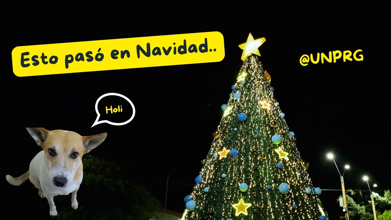 Diciembre vibes | vlog universitario