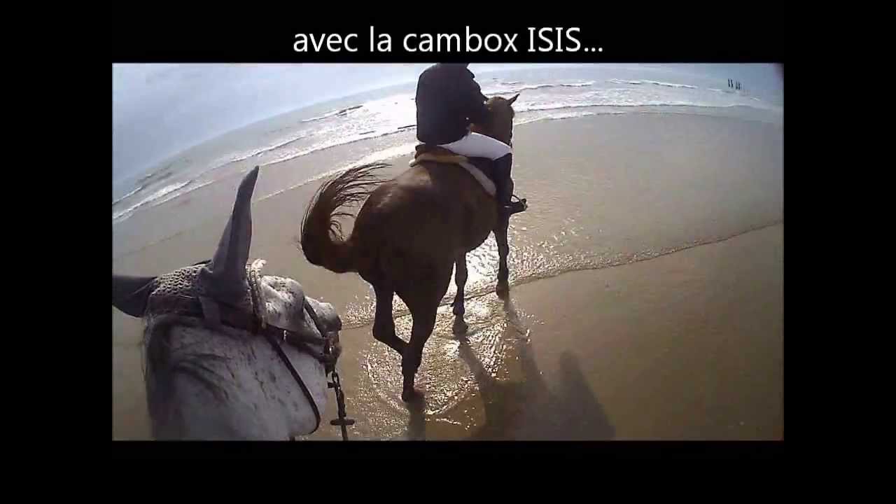 je suis Cambox ISIS, première caméra embarquée dédiée aux sports équestres