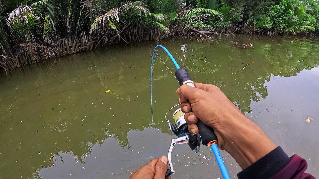 Umpan Baru Jatuh Langsung Di sambut Ikan Kelaparan