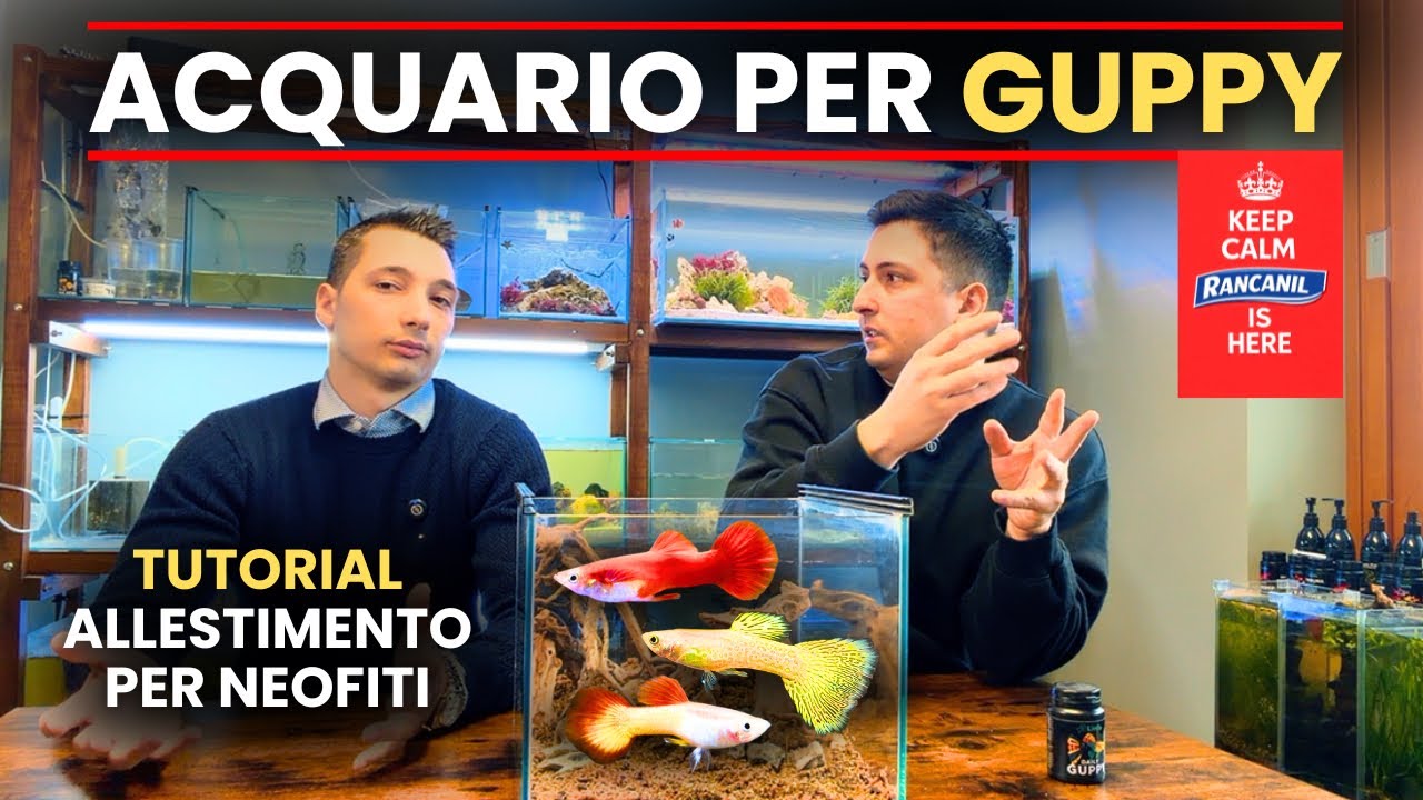 ACQUARIO per GUPPY - Preparazione Step by Step 
