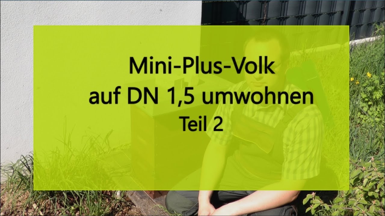 Mini-Plus-Volk auf DN 1,5 umwohnen - Teil 2