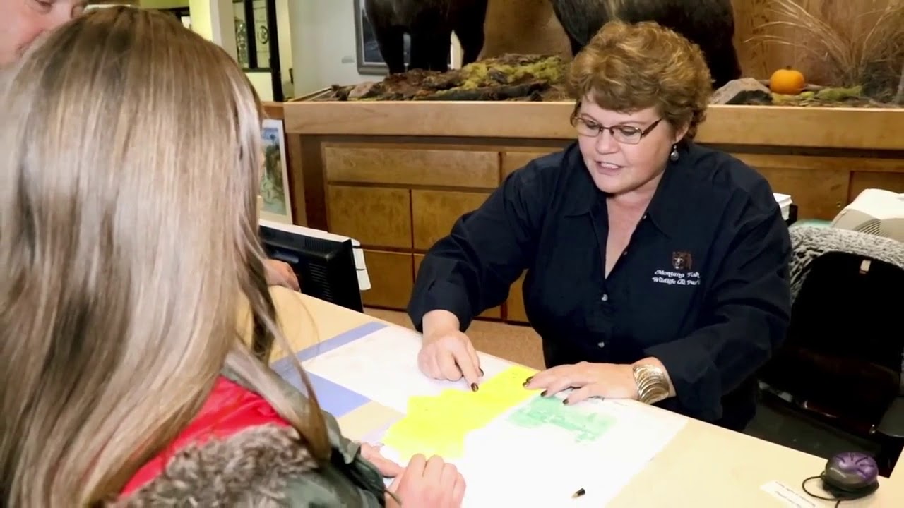 MT FWP is switching to regular paper licenses