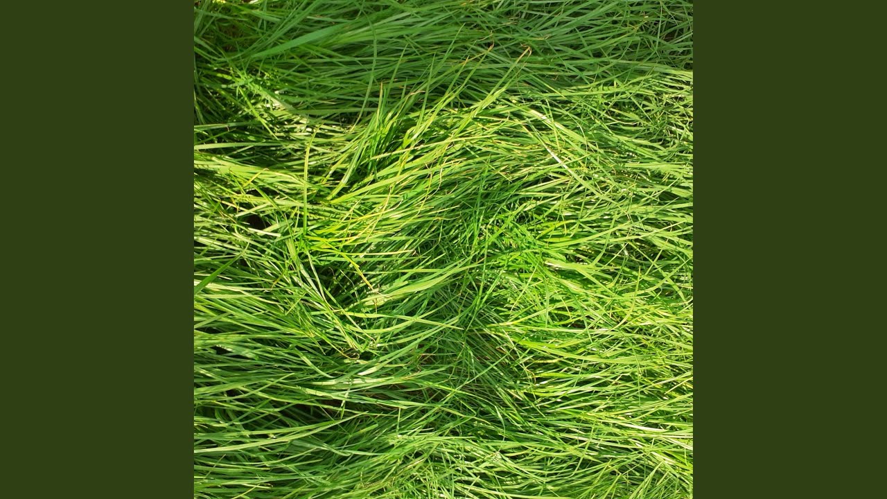 bristling with potential