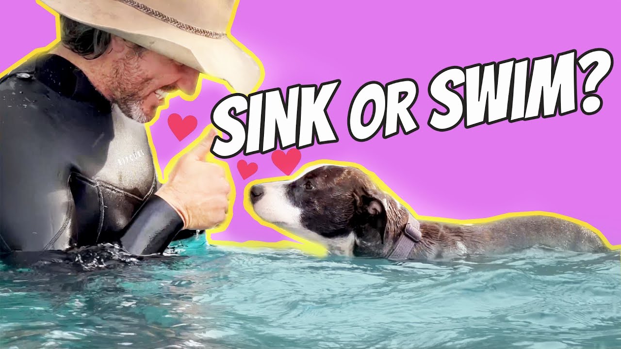 Miss Violet Learning to swim