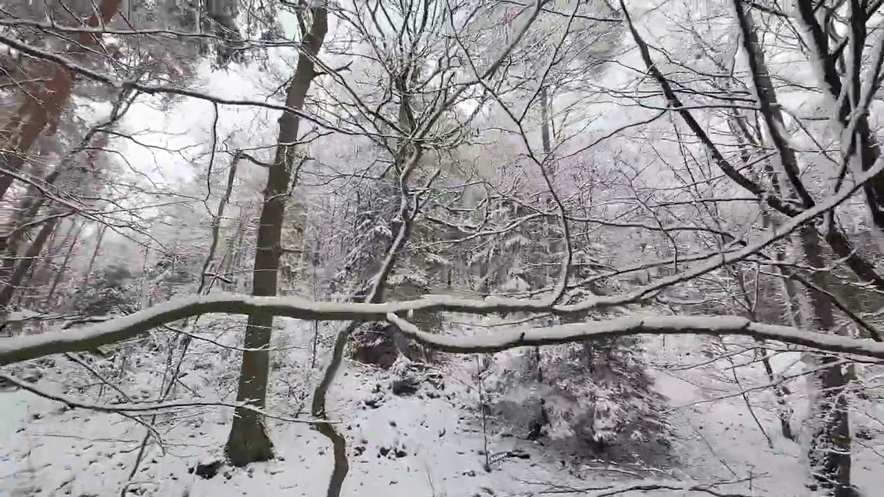 Winterflug vom 11.01.2026 in der Eifel