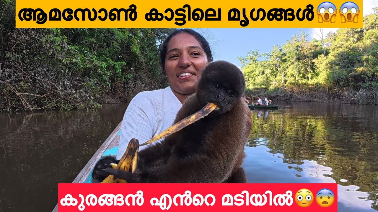 EP🇵🇪:4 രാത്രി ഞാൻ ആമസോൺ കാട്ടിൽ കണ്ടത്😳/ആമസോൺ കൊടുംകാട്ടിലേക്കാണ് ഈ യാത്ര⚠️/Amazon Rain Forest Peru 