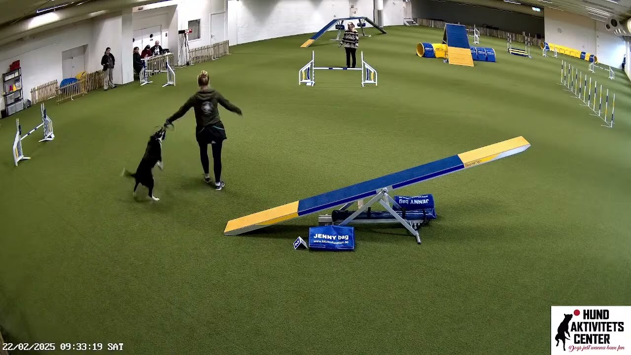 Klass 1 Agility Lördag 22 feb 2025