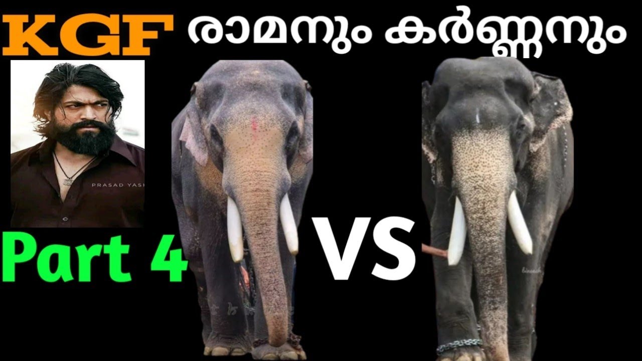 🤩🔥MangalamkunnuKarnan vs thechikottukavu ramachandran | part 4 | #kgf2 #kgf #karnan #elephant