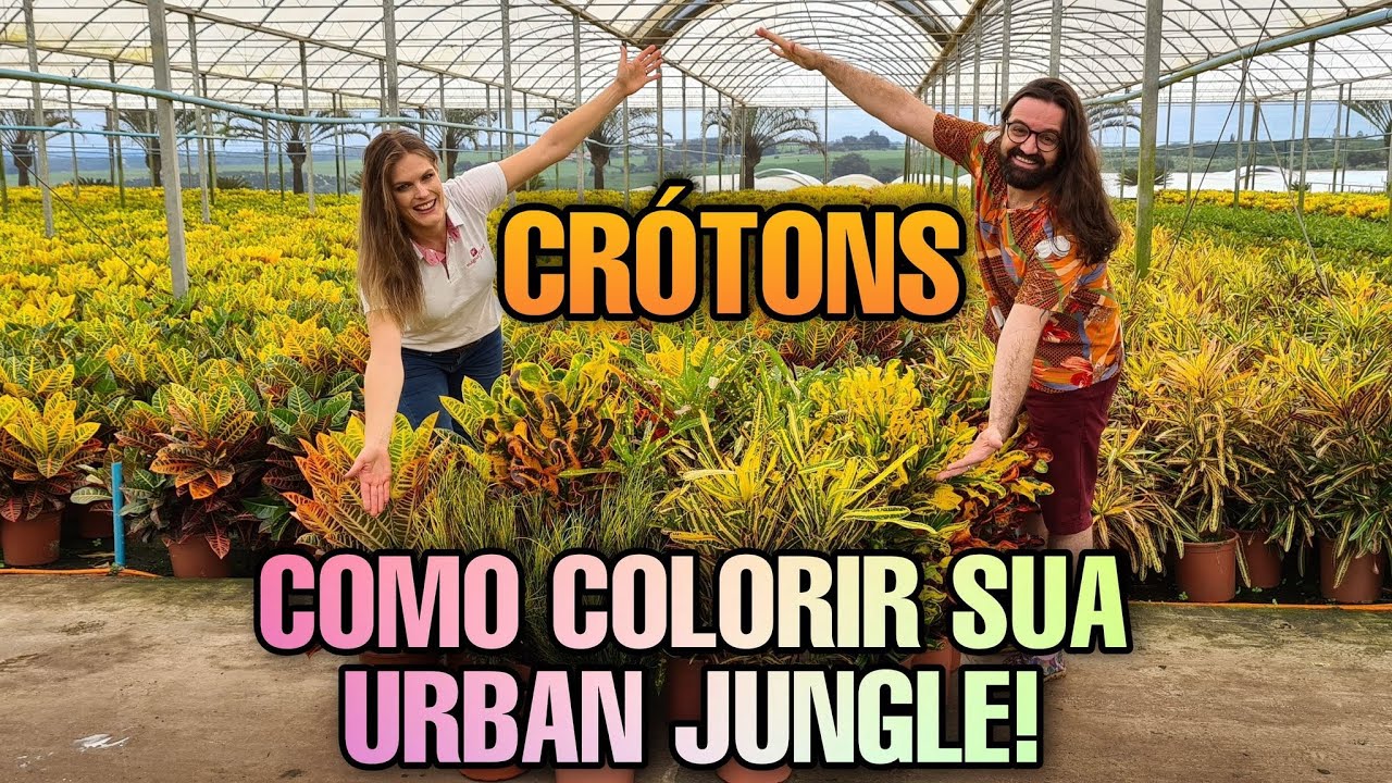 AULÃO dos CRÓTONS - Descubra tudo direto dos produtores