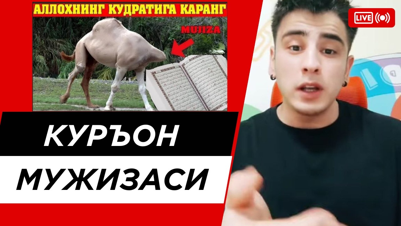КУРЪОН МУЖИЗАСИ, АЛЛОХ МУЖИЗАСИ, ЧУДЕСА КУРАНА, #todd #abrormuhtor #quron #quronmujiza #domlashukur