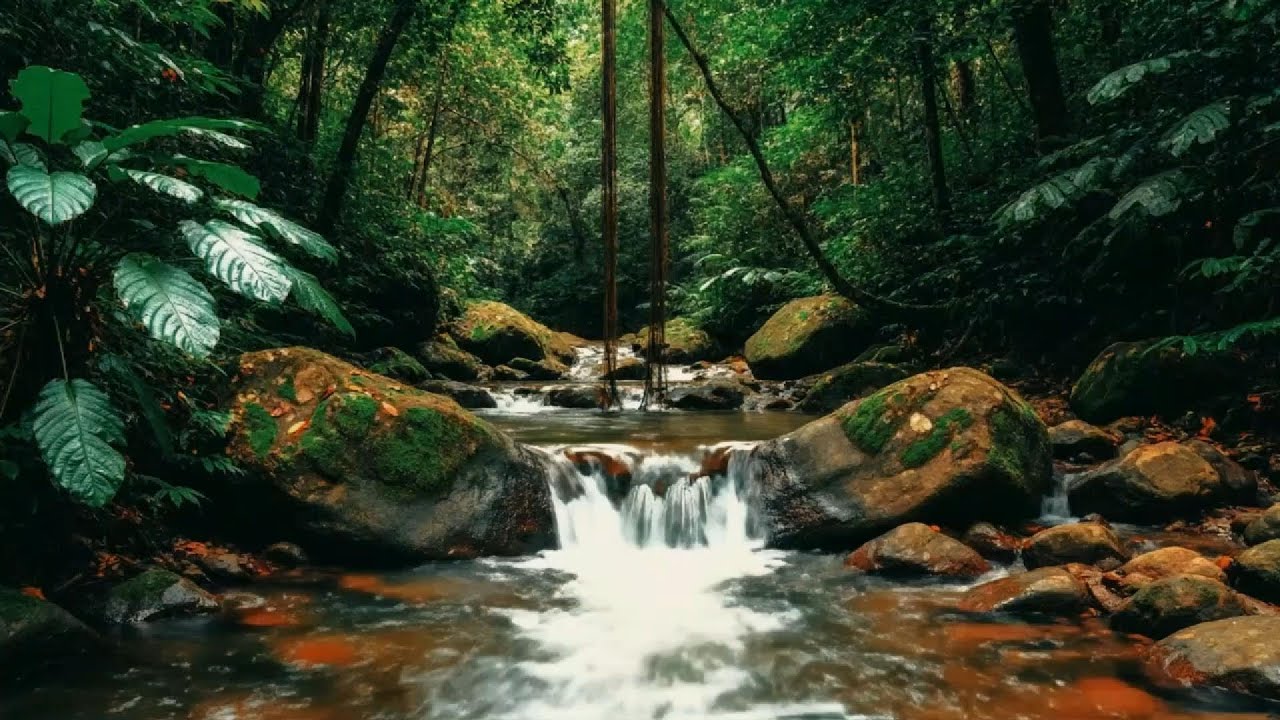 Sleep Instantly with Gentle Forest River 🌙 | 8 Hours Pure Water Sounds