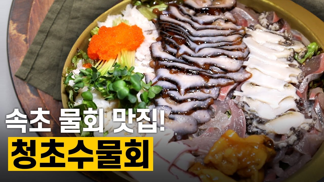 [핫클립] 해산물 가득한 물회가 먹고 싶다면? 속초 물회 맛집 청초수물회 / YTN 사이언스