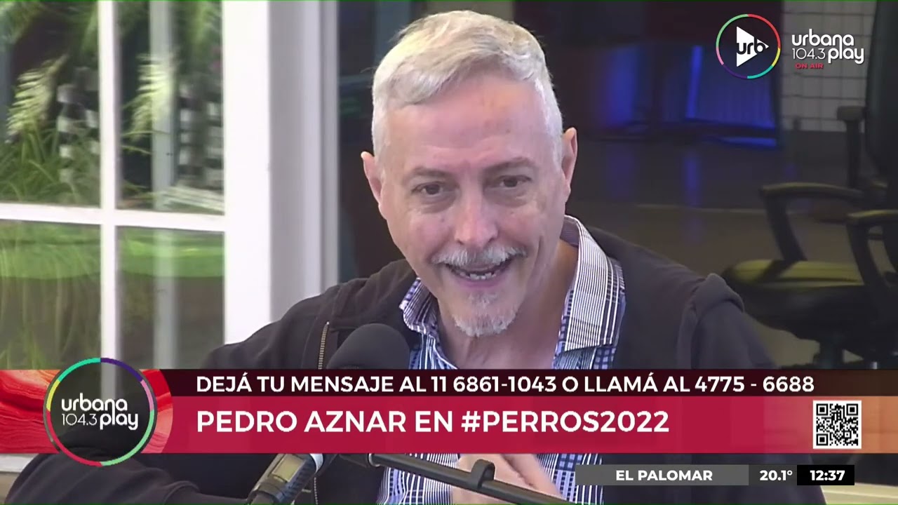 Pedro Aznar se lució con un gran acústico en la terraza de #Perros2022