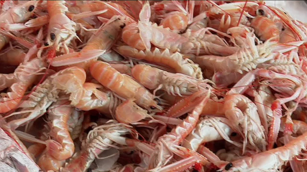 Balade &eacute;t&eacute; - Recettes de langoustines au port de la Cotini&egrave;re