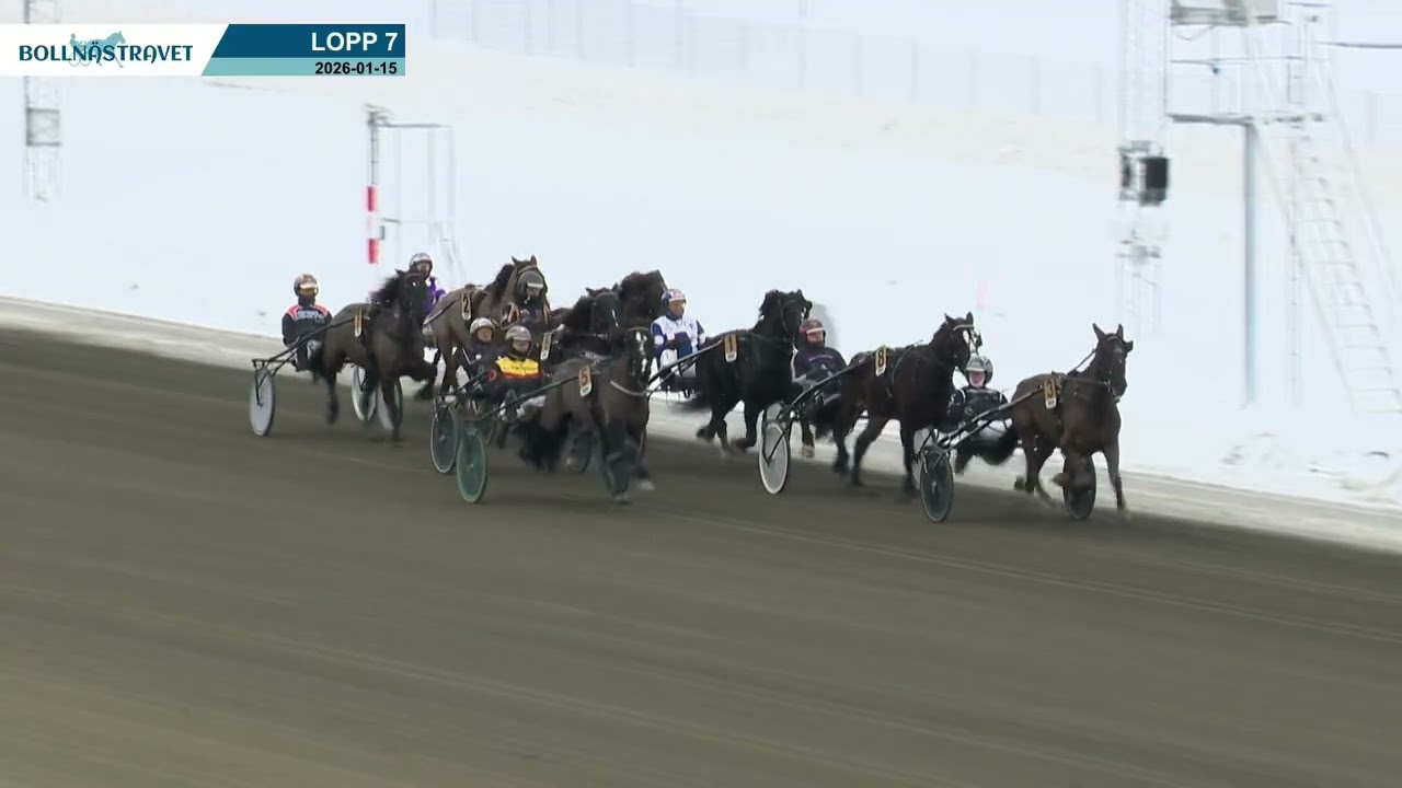 2026-01-15 Lopp 7