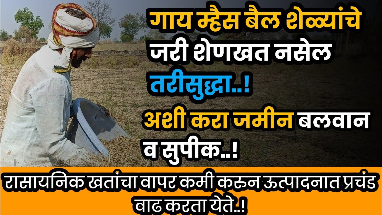 शेतात टाकण्यासाठी तुमच्याकडे शेणखत नाही का..? काळजी करू नका/हा प्रयोग करा/जमीन होईल सुपीक..!