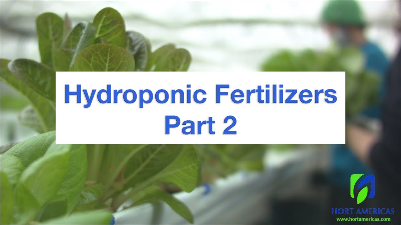 Hydroponic Fertilizers - Blending Hydroponic Nutrient Solutions and Stock Solutions