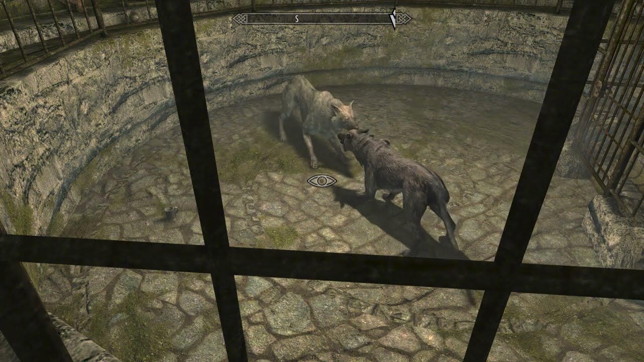 Skyrim. Бесконечная драка волков
