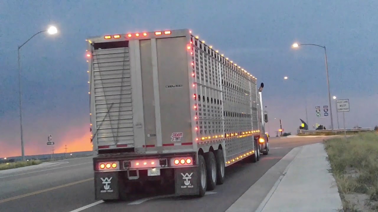 New Rocky Mountain Bull Hauler video.