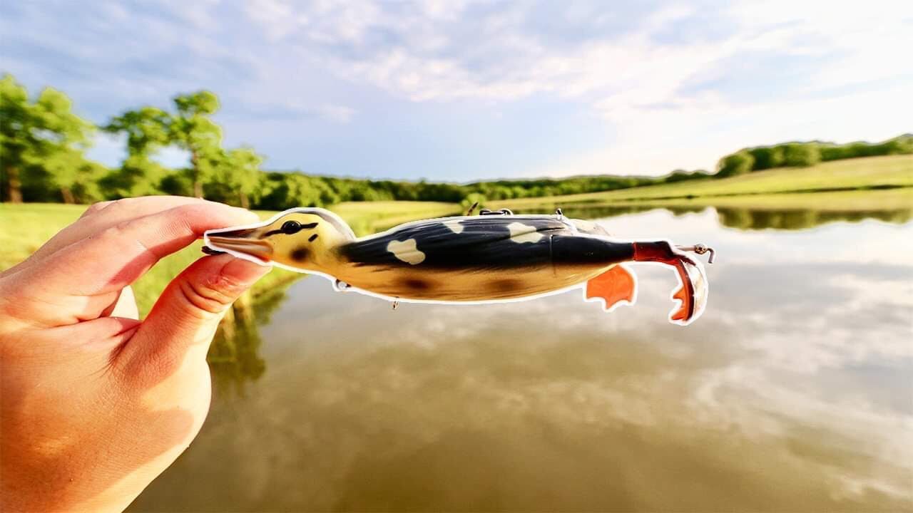 Savage Gear Suicide Duck (Review & Challenge)