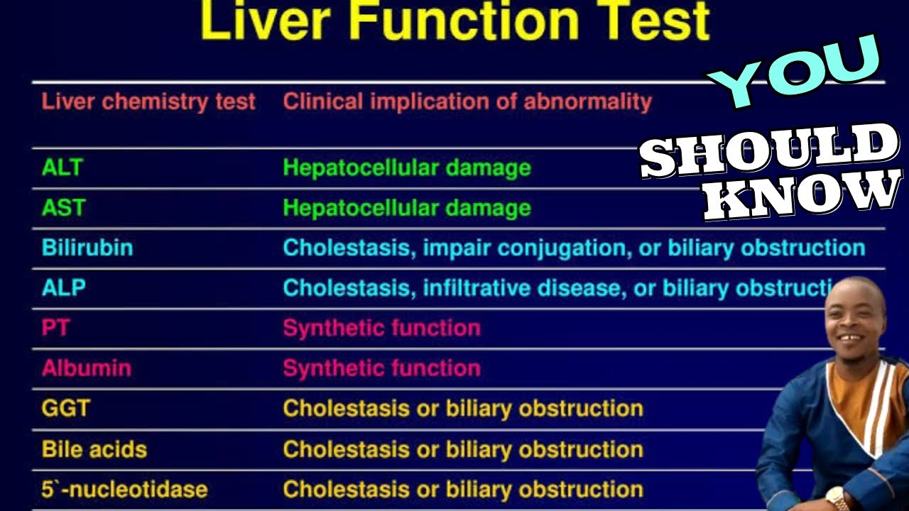 Understanding Liver Function Tests and What Your Results Mean: ALT | AST | GGT | ALP | Bilirubin
