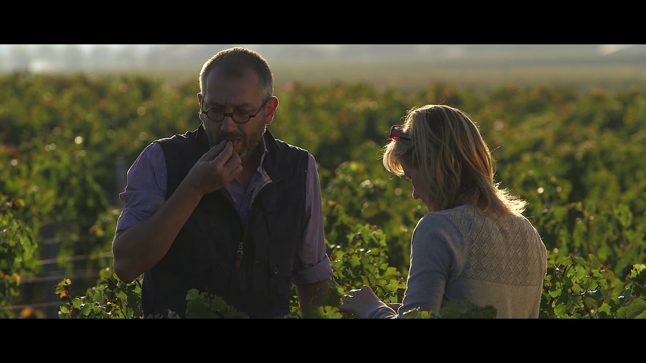 Introducing Chateau Palmer
