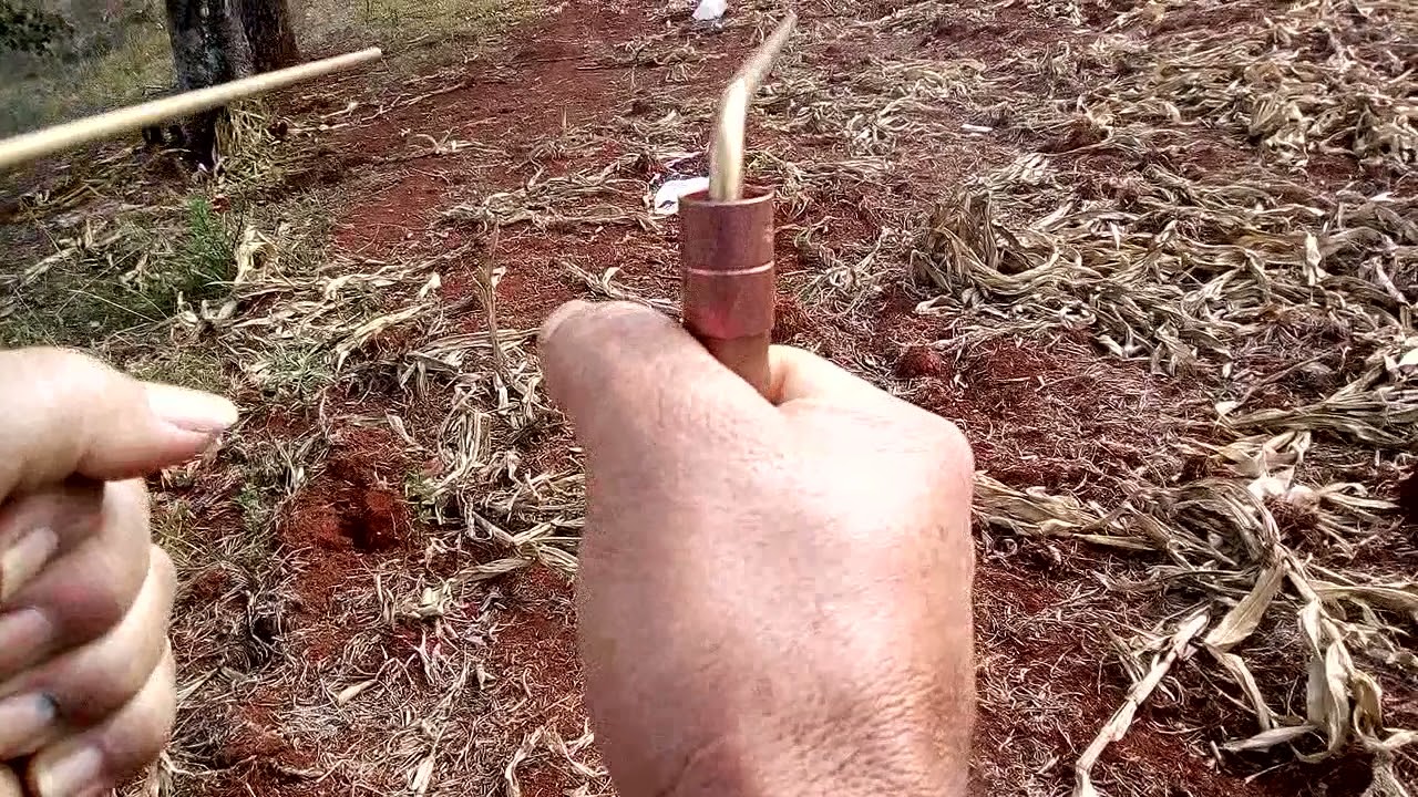 VEJA UMA DEMONSTRAÇÃO COMO ACHAR OURO COM VARETAS IÔNICA