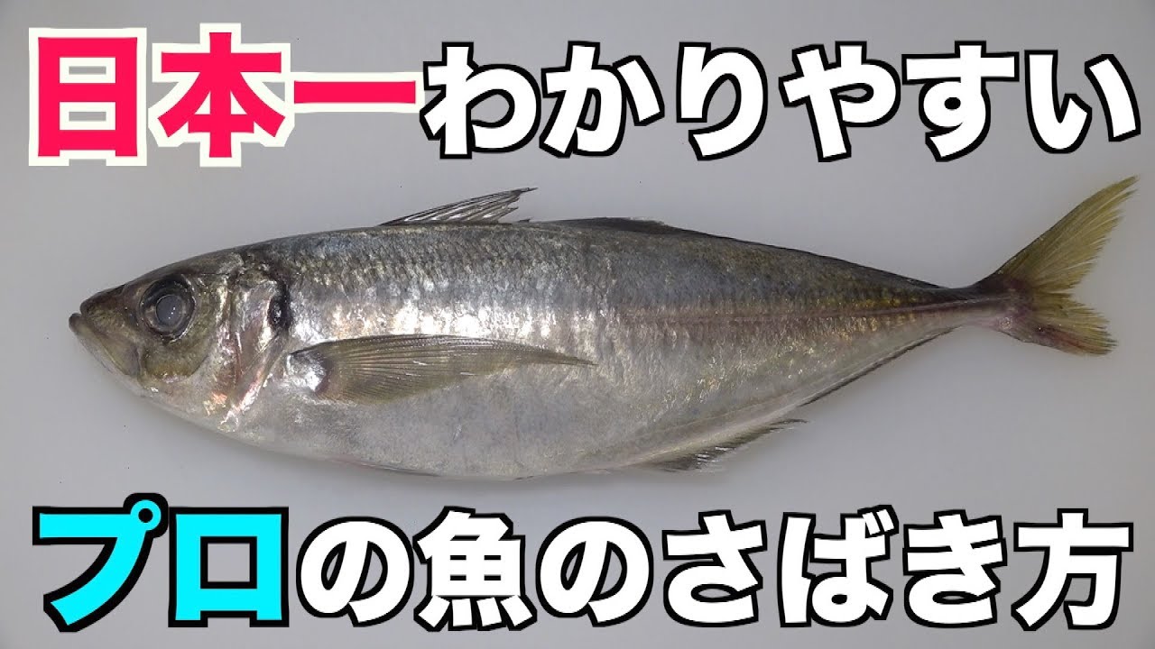 誰でも簡単わかりやすい【鯵アジ】さばき方  三枚おろし